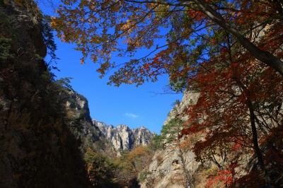 설악산-케이블카-사전-예약-불가!-현장-구매-방법&amp;#44;-요금&amp;#44;-운영시간