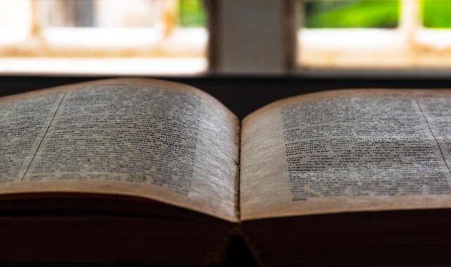 근로장려금 신청 방법