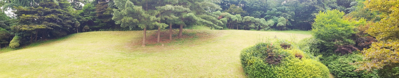 스위스-그랜드-호텔-산책로-숲길