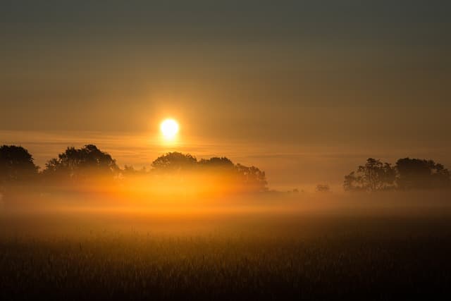 전남학생교육수당 사용처