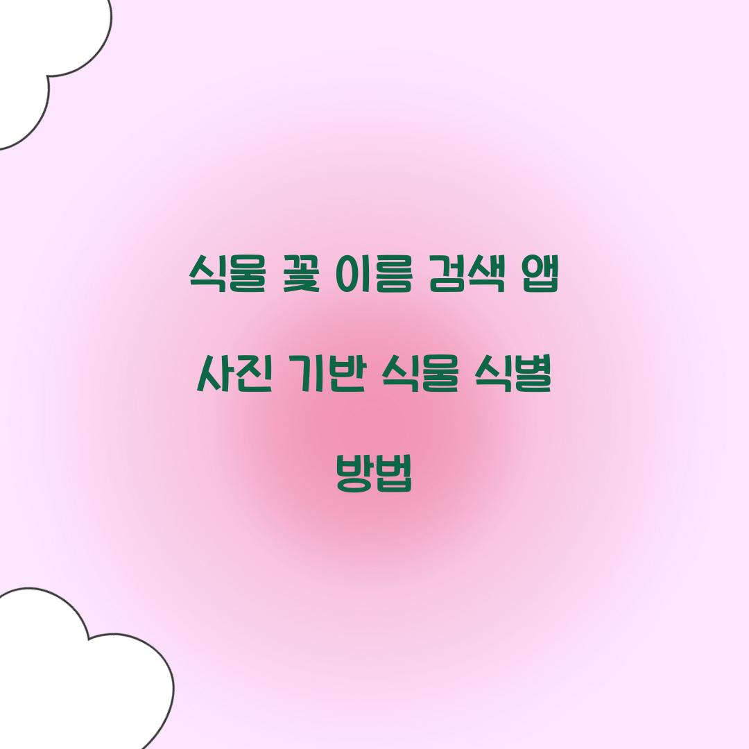 식물 꽃 이름 검색 앱