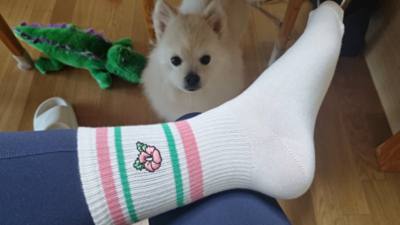 양말 신어보기