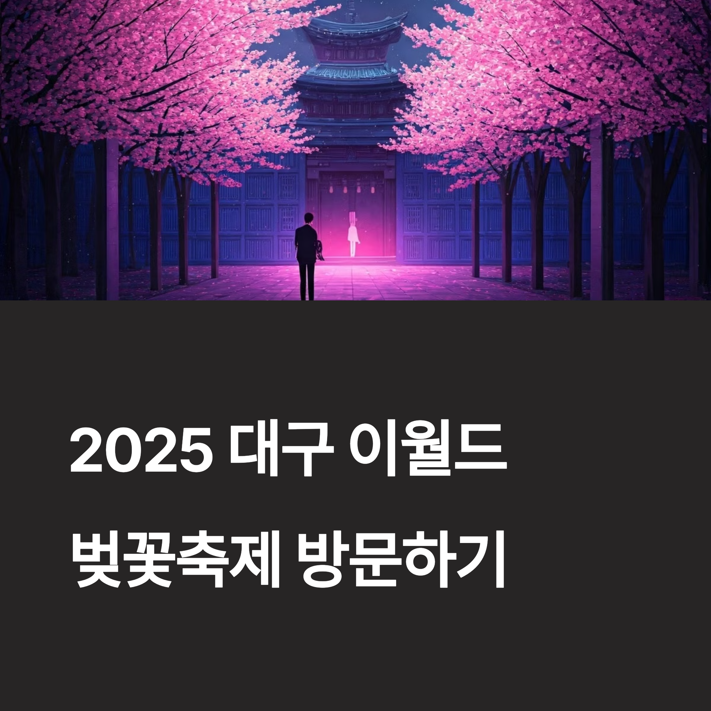 대구 이월드 벚꽃 축제 총정리