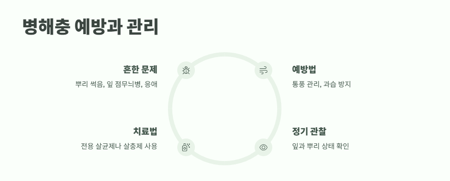 호접란 키우는법 쉽게 정리 12