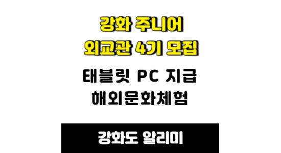강화 주니어 외교관 4기 모집