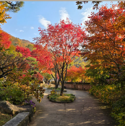  2025 단풍명소 화담숲 홈페이지 제공