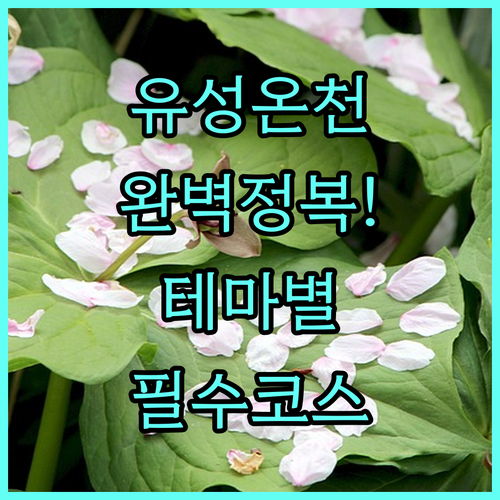 유성온천 여행 시 꼭 가봐야 할 장소..