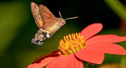 매력적으로 만들자