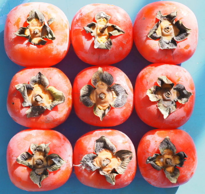 감의 효능과 부작용, 감의 칼로리, 감과 당뇨, 감 보관법