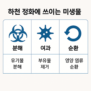 하천 정화에 쓰이는 미생물 관련 사진