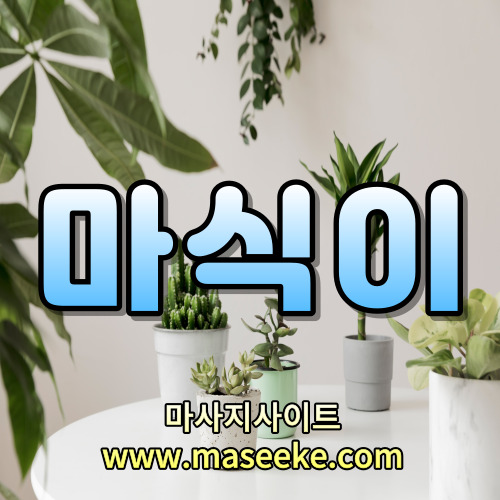 천안 스웨디시 마사지