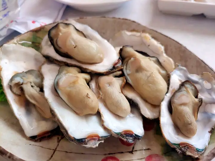 6시내고향 전남 완도 굴 구이 석화 굴무침 굴전 물회 요리 맛집 추천 