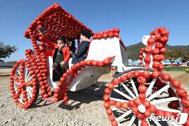 청송사과꽃 축제