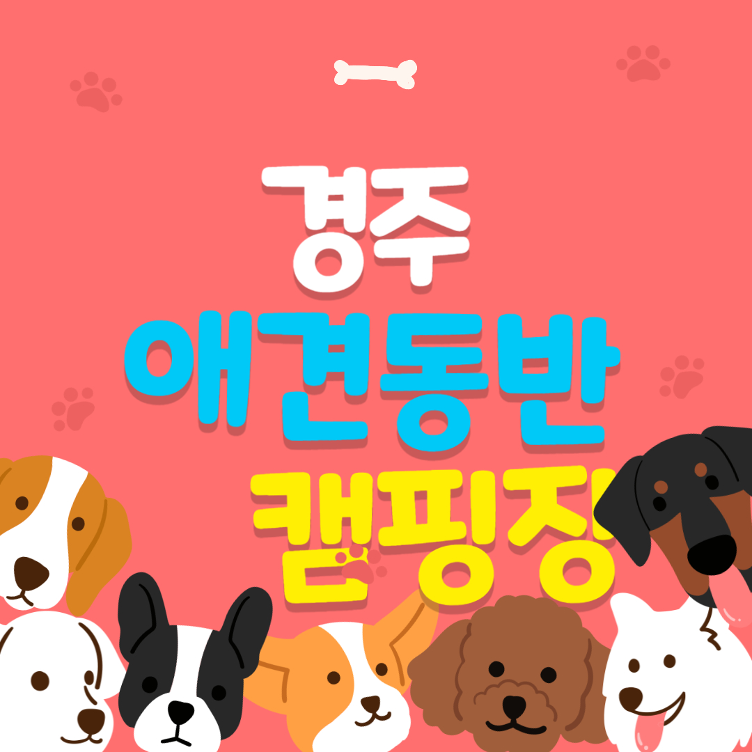 경주 애견동반 캠핑장