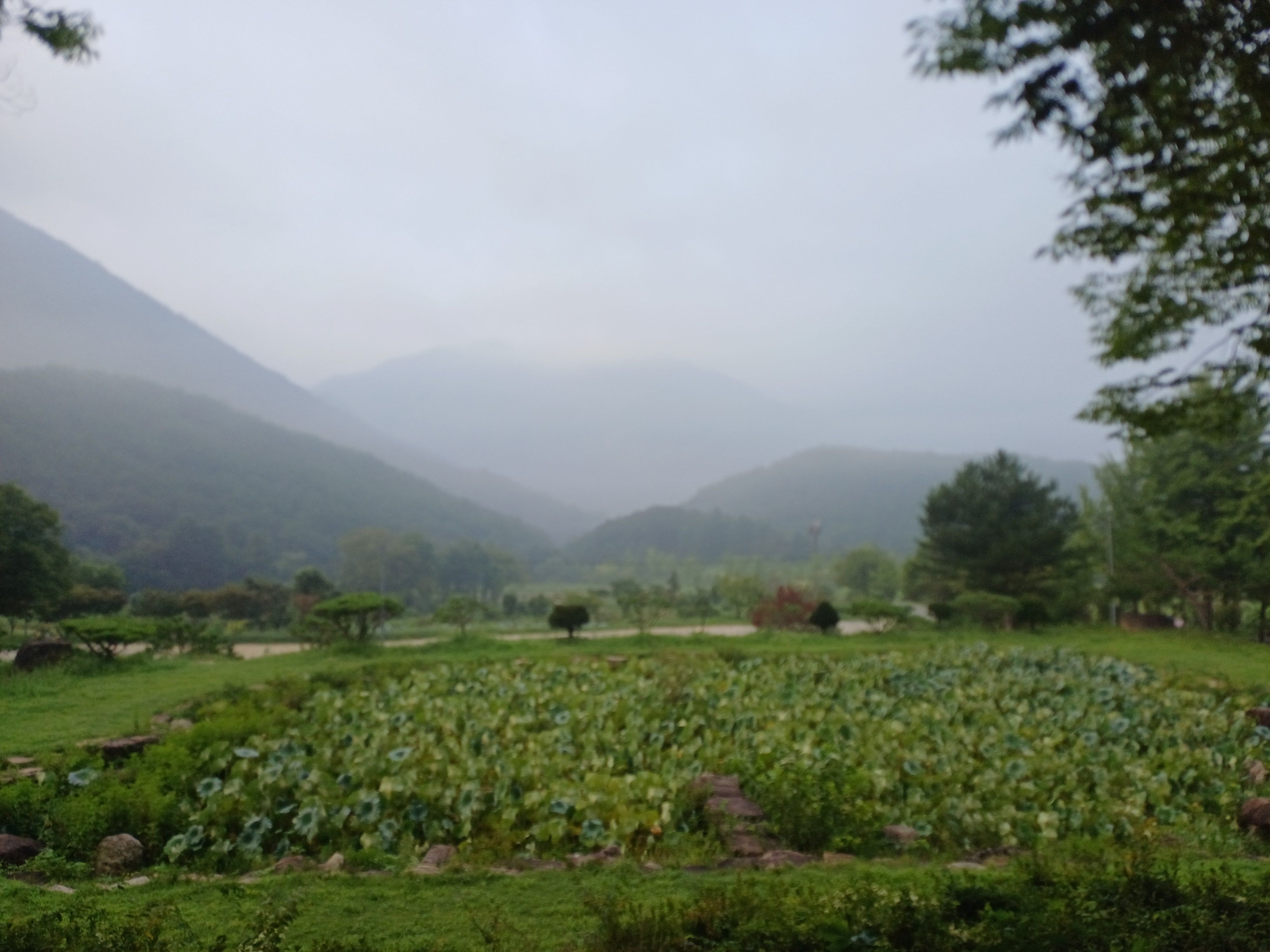 나무가 줄지어 선 흙길과 작은 요사채, 한적한 경내 산책로