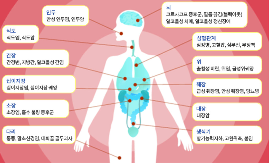 술 1급 발암물질