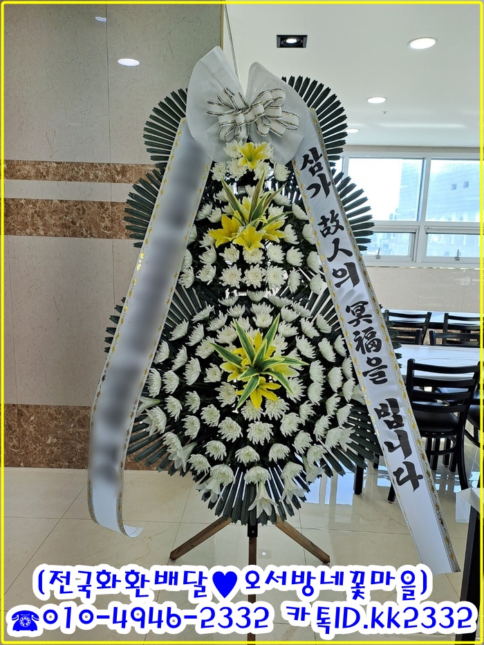 속초화환 속초꽃집