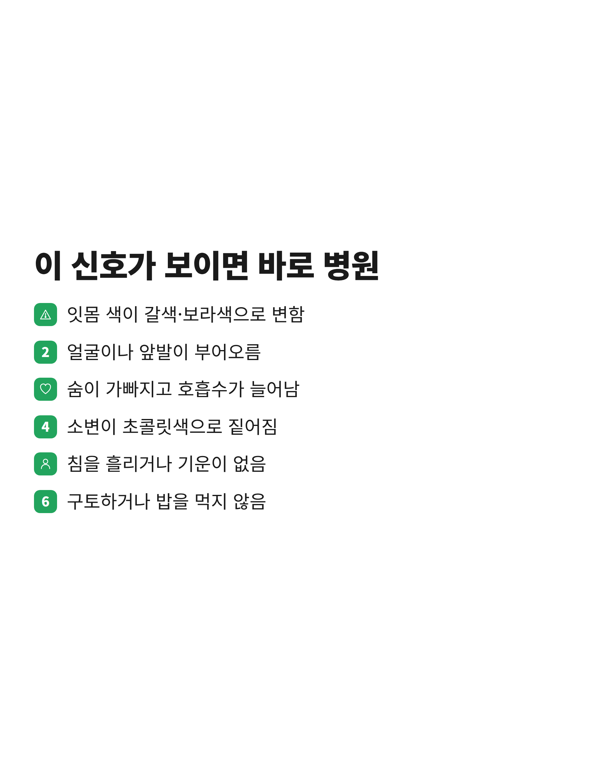 고양이 타이레놀 중독 때 보호자가 확인할 잇몸 색·부종·호흡·소변 등 여섯 가지 증상 목록