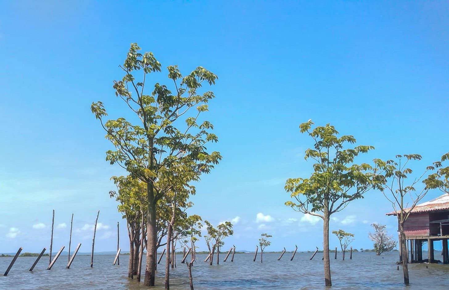 AI 기반 미국 마이애미: 해수면 상승 시뮬레이션 및 배수망 재설계