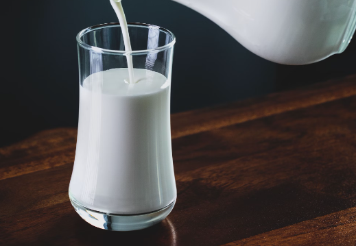 산양유 초유 단백질