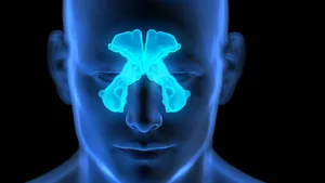 축농증-치료방법