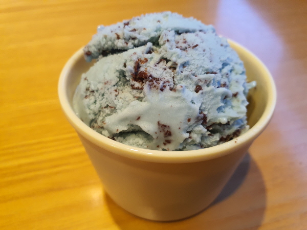 베스킨라빈스31 신메뉴 (Lessly Edition) 민트 초콜릿 칩 아이스크림