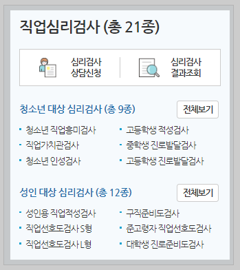 직업적성검사 안내 페이지