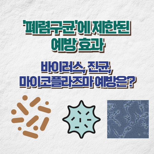 폐렴구균에 제한된 예방효과