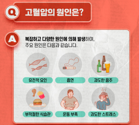 고혈압 합병증(2)