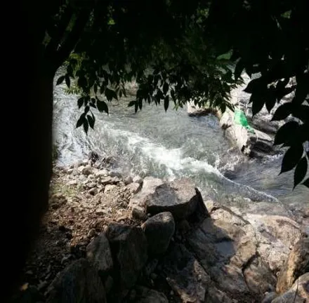 마운틴뷰관광농원