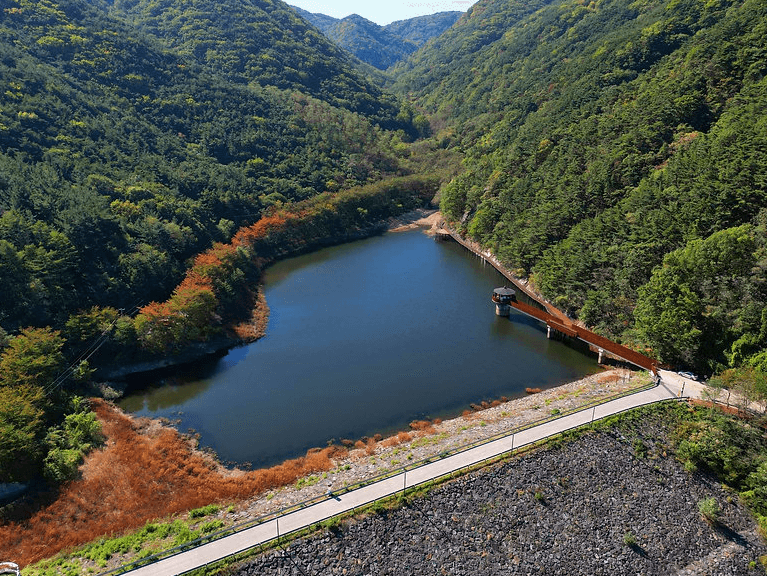 대구 가볼만한 단풍 여행은 어디일까? 대구 단풍 여행 총정리!