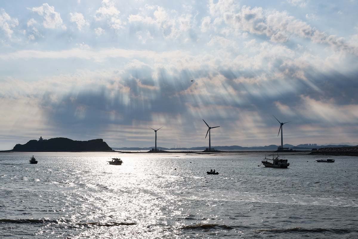 [5월~6월 축제]2025 화성 뱃놀이 축제❘기간, 일정, 프로그램 및 공연 사전 예약 방법