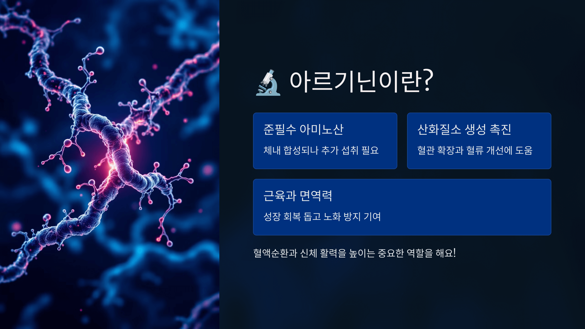 아르기닌과 관련된 사진입니다.
