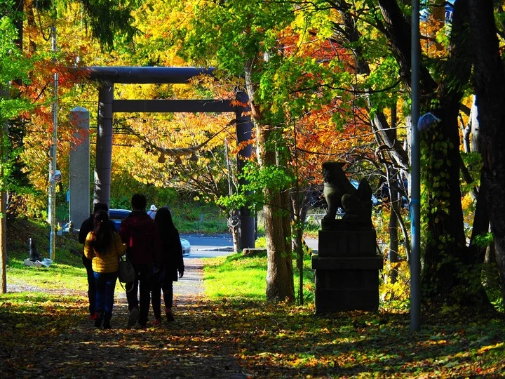 조잔케이 신사 &ndash; 산속의 고즈넉한 휴식