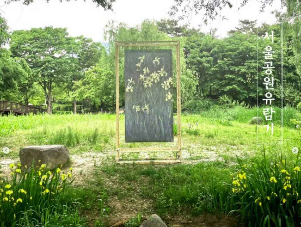 서울창포원 사계축제 꽃 기억해