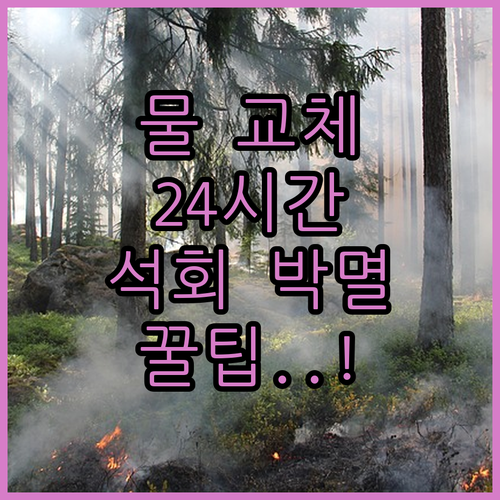 분유포트 물 교체 주기 24시간 원칙..