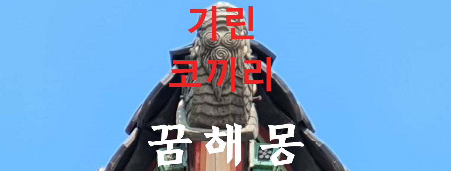 꿈해몽