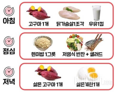 식단 예