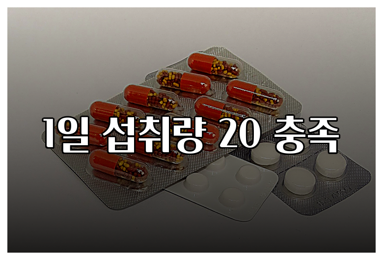 1일 섭취량 20 충족
