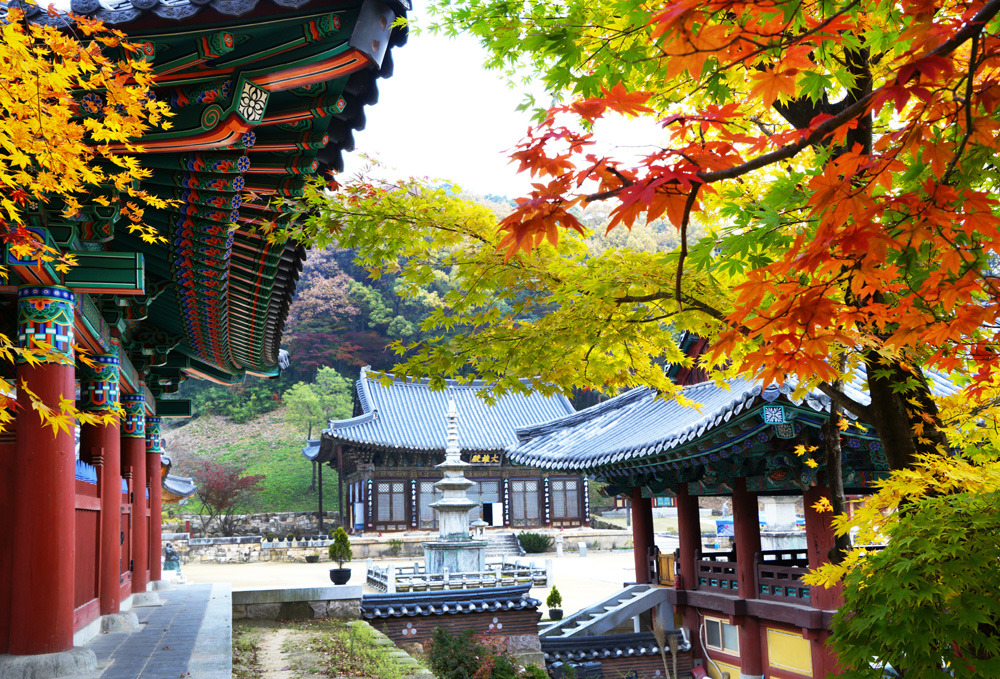 직지사