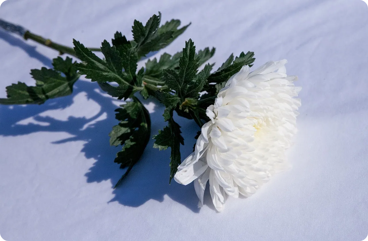 과천 서울대공원 남녀 극단적 선택