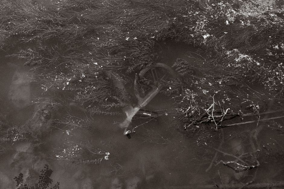 A bicycle partially submerged underwater, surrounded by aquatic vegetation in a tranquil, monochrome scene.