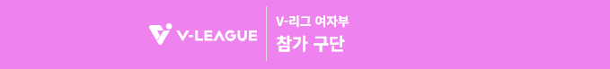 3️⃣ 리그 전체 현황