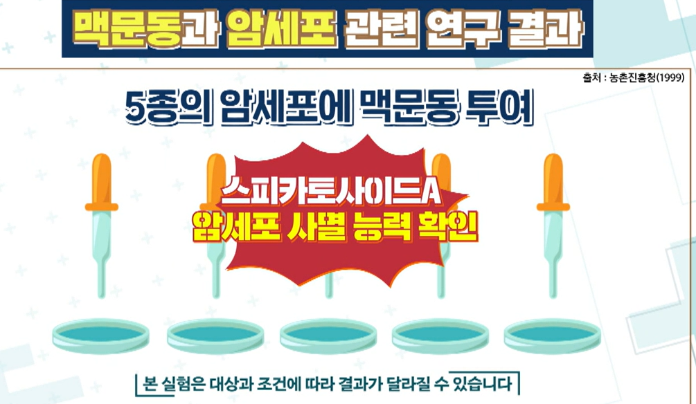 맥문동 효능