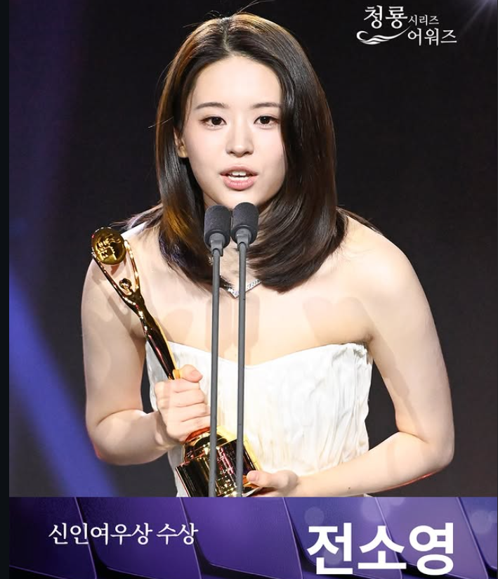 청룡 시리즈 어워즈