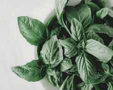 고혈압에 좋은 음식 8가지와 고혈압 예방을 위한 식단 팁!