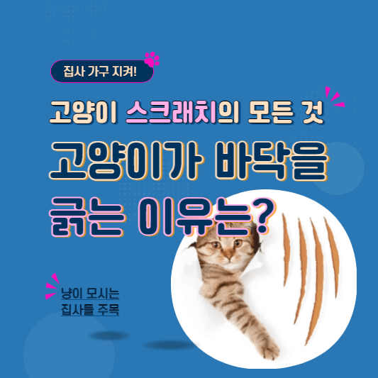 고양이스크래쳐