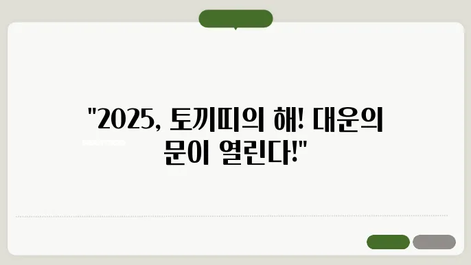 2025년 토끼띠 운세