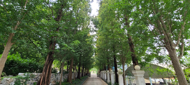 피나클랜드수목원