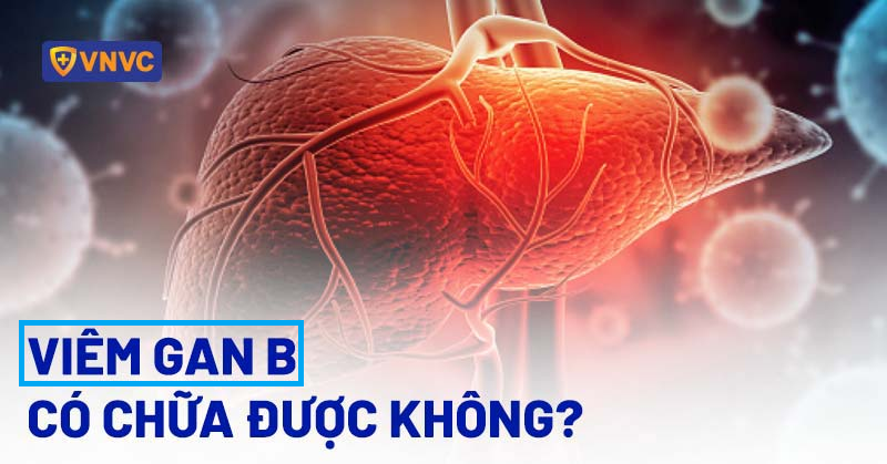 B형 간염 소개 이미지